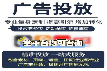 成功案例解析：SEO与SEM协同营销策略